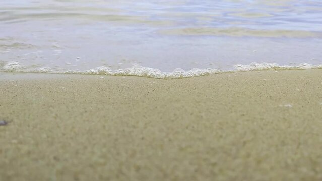 Waves of the sea or ocean roll on the sandy shore. Relax on the beach on a sunny summer day. Vacation at sea. Nature background