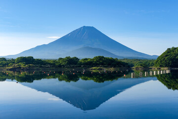 山梨県富士五湖のうちの一つの精進湖と富士山