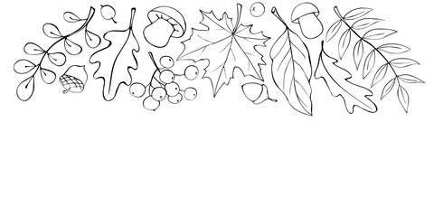 Autumn background with space and border of leaves, mushrooms, acorns, berries on upper edge. For invitation, ending, frame, children's print, or coloring. The theme is forest, happy fall, thanksgiving