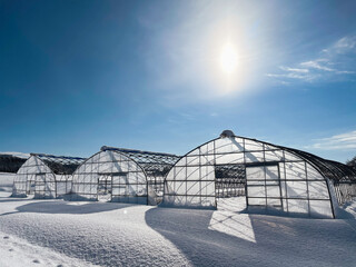 greenhouse in winter