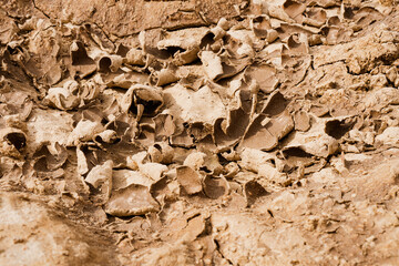 Close up of crack soil and desert in dry season textures, hot summer. Texture of sunny dried earth