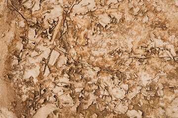 Close up of crack soil and desert in dry season textures, hot summer. Texture of sunny dried earth
