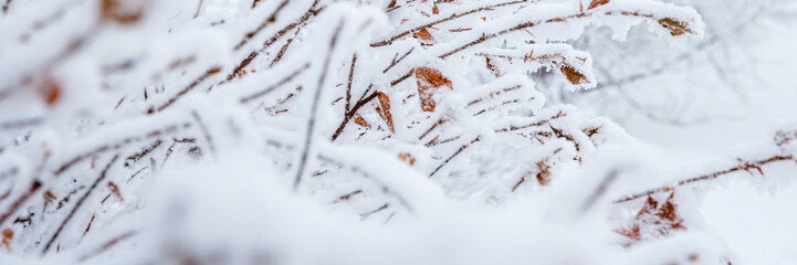 Snow and rime ice on the branches of bushes. Beautiful winter background with twigs covered with...