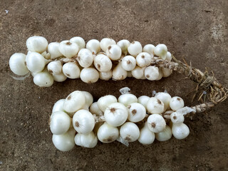 Indian white onions string, vegetables food healthy good for health