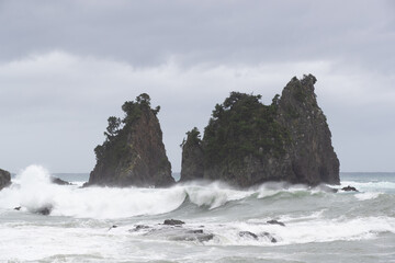 蓑掛岩と波