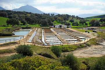 Producción de sal de forma tradicional . Salinas romanas de interior en Iptuci en Prado del Rey,...