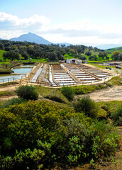 Producción de sal de forma tradicional en unas salinas de interior. Salinas de Iptuci en Prado del...