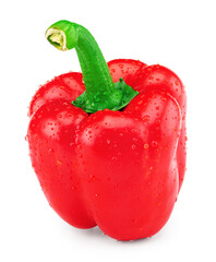 one red sweet bell pepper isolated on white background. clipping path
