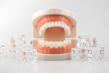 Tooth model with ice cubes the concept of treating sensitive teeth