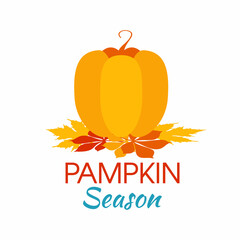 Congratulations Autumn. Vector illustrations with simple pictures. Hello fall.
Signature Pampkin Season. Orange vegetable. Leaves