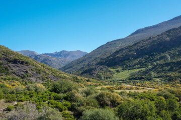 Fototapeta na wymiar Valle del arroyo de Mazobre en el parque natural de la montaña Palentina, España