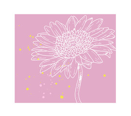 ピンクに白線で描かれたガーベラの花イラスト