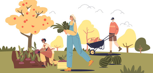 People harvesting. Group of young farmers picking harvest of fruits, vegetables on farm plantation