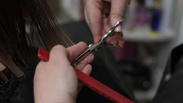 Hairdresser cuts with scissors blond hair of woman in hairdressing beauty salon, slow motion. Barber hands cut female hair taking strand in his fingers, style in barbershop, close-up
