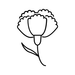 Black line icon for Carnation