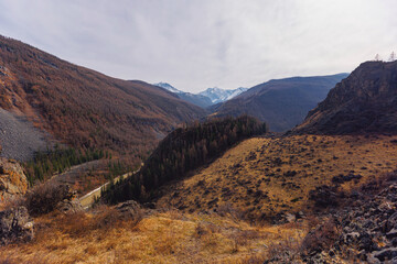 Landscape adventure autumn forest mountains Chuysky tract, Altai