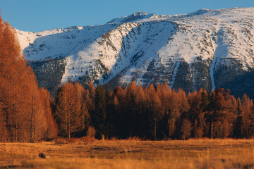Beautiful landscape autumn forest with snow peaks mountains Chuysky tract, Altai Kurai steppe Russia