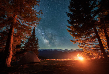Breathtaking starry sky during summer vacations for recreating in spruce forrest of Carphathians,...