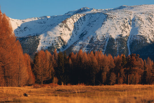 Beautiful landscape autumn forest with snow peaks mountains Chuysky tract, Altai Kurai steppe Russia
