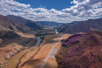 Fototapeta na wymiar Beautiful spring mountains blooming pink maralnik wild rosemary. Chuysky tract Altai, Siberia, Russia, Drone aerial view