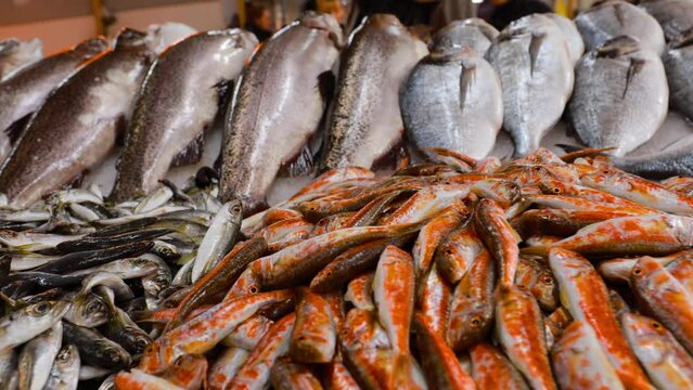 Fresh Sea Salmon, European Anchovy Fish and Mullus On Display On Ice On Market Store Shop. Seafood Fish Background. Salmon Is A Fairly Species Of Salmon. European Anchovy Is Forage Fish Somewhat