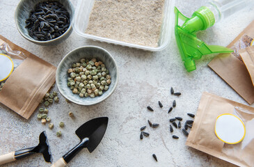 Microgreen seeds in paper bags and equipment for sowing microgreens.
