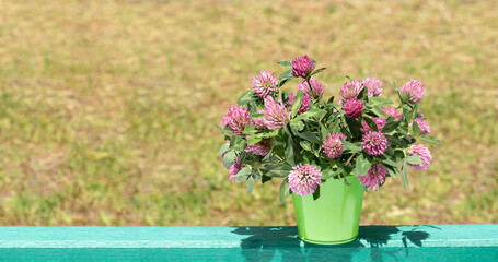A bouquet of clover wild flowers in a decorative bucket on a blurred background. A pretty simple still life. Place for text. Copy space.