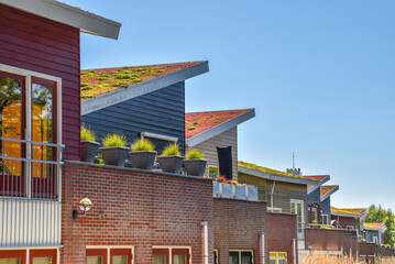 Den Helder, Netherlands. June 2022. Environmentally friendly roofs in a residential area in Den Helder.