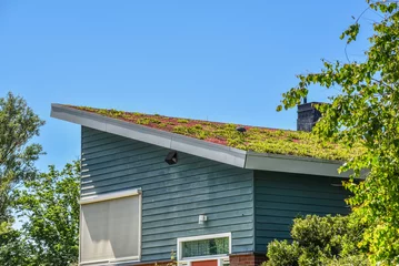 Fototapeten Den Helder, Netherlands. June 2022. Environmentally friendly roofs in a residential area in Den Helder. © Bert