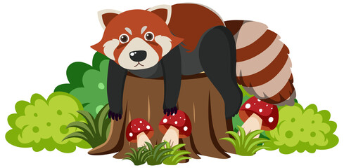 Cute red raccoon in flat cartoon style