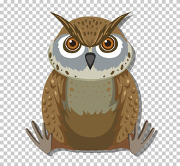 Cute owl bird in flat cartoon style