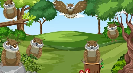 Owl birds in the forest scene © blueringmedia