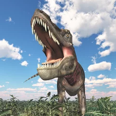 Foto auf Acrylglas Dinosaurier Tarbosaurus in einer Landschaft © Michael Rosskothen