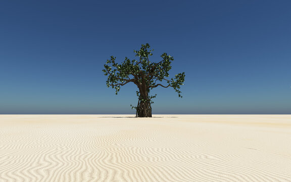 Großer Baum in einer Sandwüste