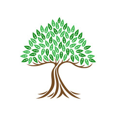 Naklejka premium Tree icon with leaves on white background.