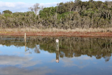 No Cycling sign in a lake, Loch Sport, Central Gippsland, Victoria, Australia.