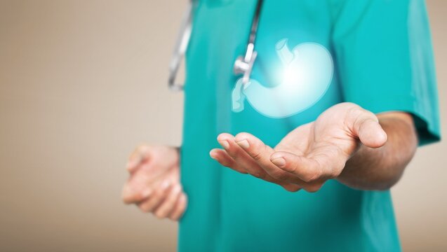 A doctor holding virtual Intestine in hand. Healthcare hospital service concept