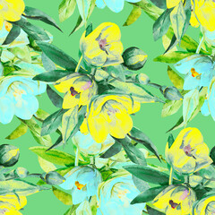 Pattern seamless jasmines.Illustration on white and colored background.