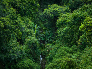 Aerial view of beautiful tropical forest mountain landscape