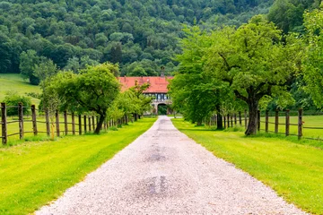 Fotobehang Access to historic monastery farmhouse with picturesque alley way and half timbered facade. Tourist attraction near “Uracher Wasserfall“ cascade in rural landscape in Germany with pasture and meadows. © ON-Photography