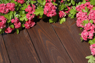 brown wooden background with pink flowers frame