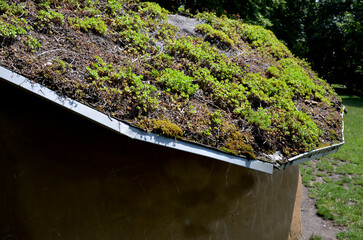A roof garden on the sloping roof of a garden house with succulents and grass. A well-established...
