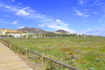 Fototapeta na wymiar Saladar de Jandía, Fuerteventura, España