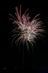 Fototapeta premium Suburban Fireworks Demonstration - In the background fireworks from other suburbs may be seen
