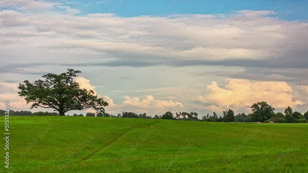 Poster clouds moving over green field with trees at daytime. - timelapse