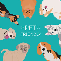 Obraz premium Dog Grooming Salon Poster Illustration . Icon banner illustrations showing animal charity, donation, volunteering, adoption. Pet shop . Veterinary clinic banners set.