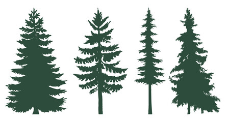 Coniferous trees set. The forest is full of coniferous trees