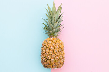 One pineapple on a color background