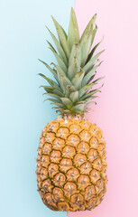 One pineapple on a color background