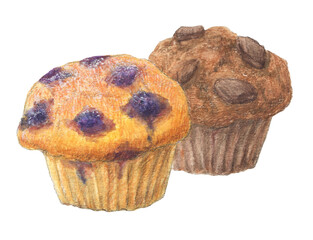 ブルーベリーマフィンとチョコマフィン　水彩色鉛筆ケーキイラスト

